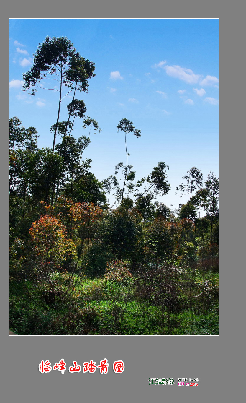 自然风景—临峰山踏青图——9P