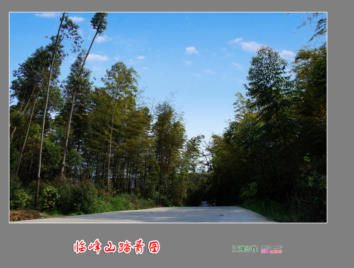 自然风景—临峰山踏青图——9P