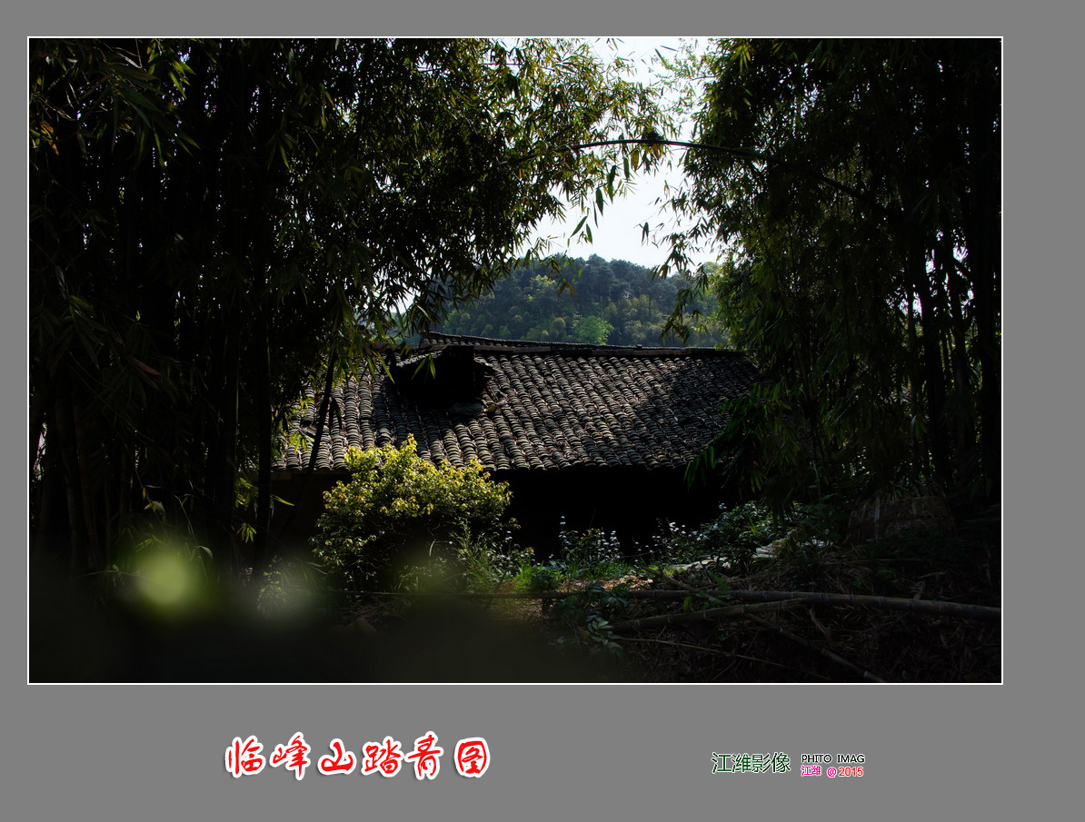 自然风景—临峰山踏青图——9P