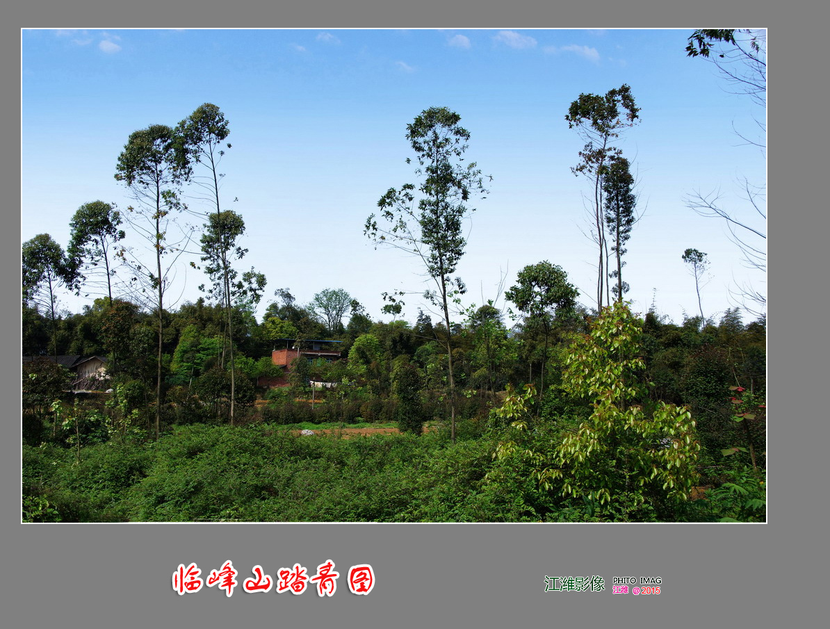 自然风景—临峰山踏青图——9P