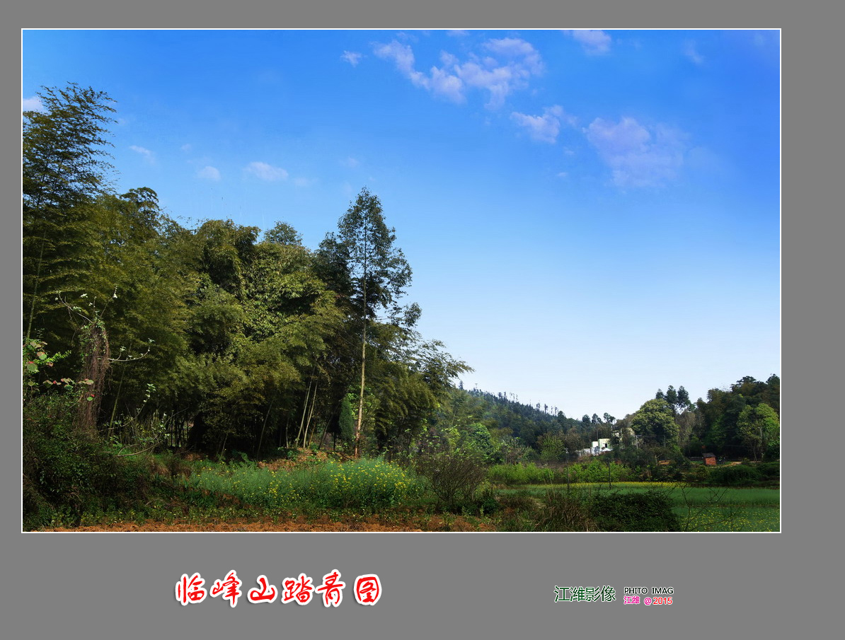 自然风景—临峰山踏青图——9P