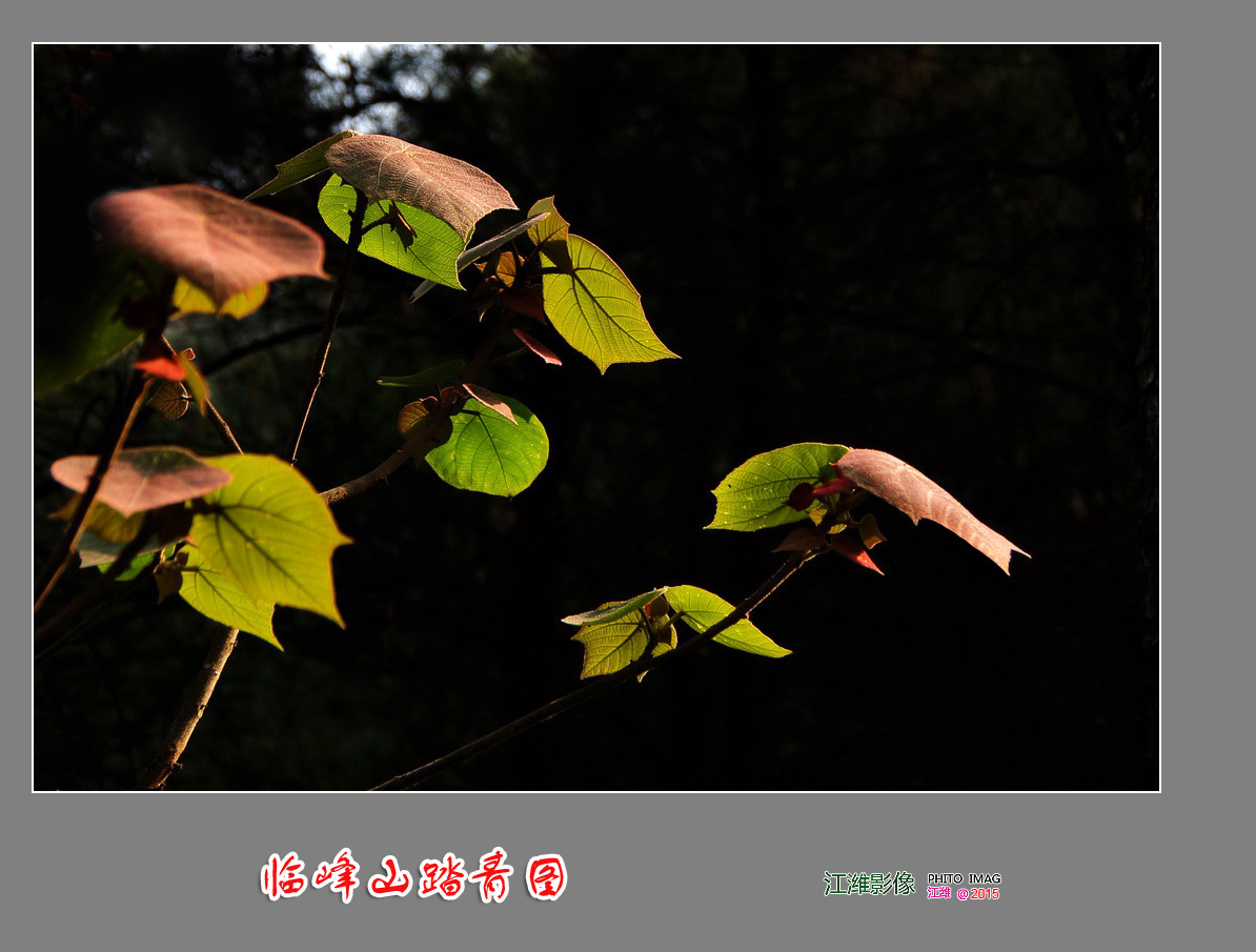 自然风景—临峰山踏青图——9P