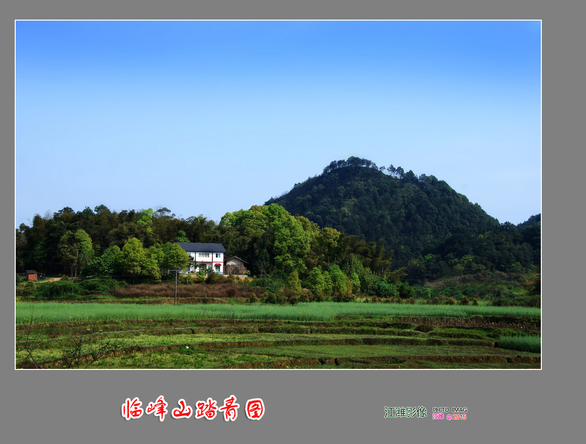 自然风景—临峰山踏青图——9P