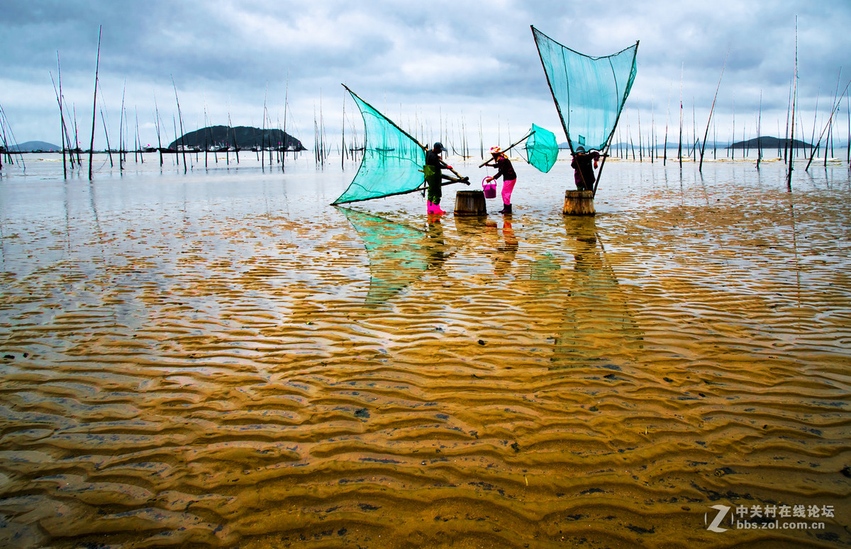 霞浦西山滩涂赶海劳作