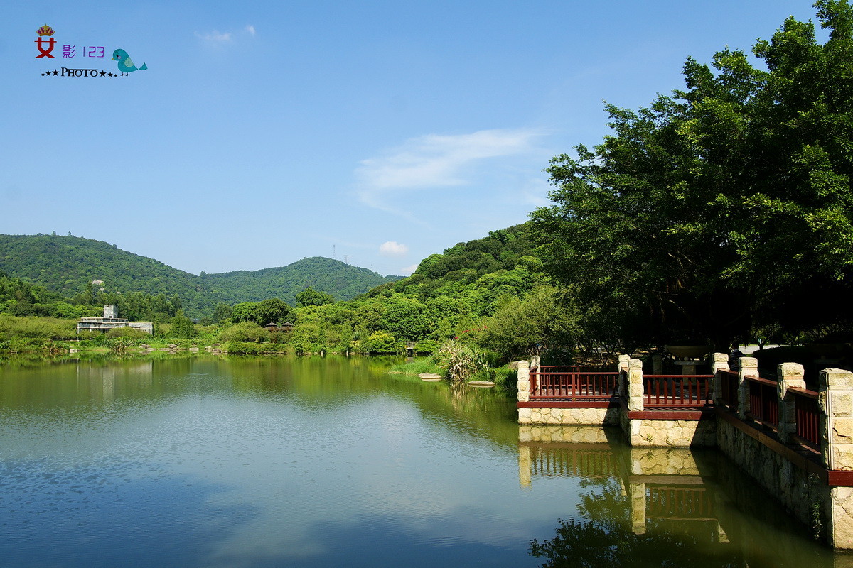 罗岗香雪公园景色