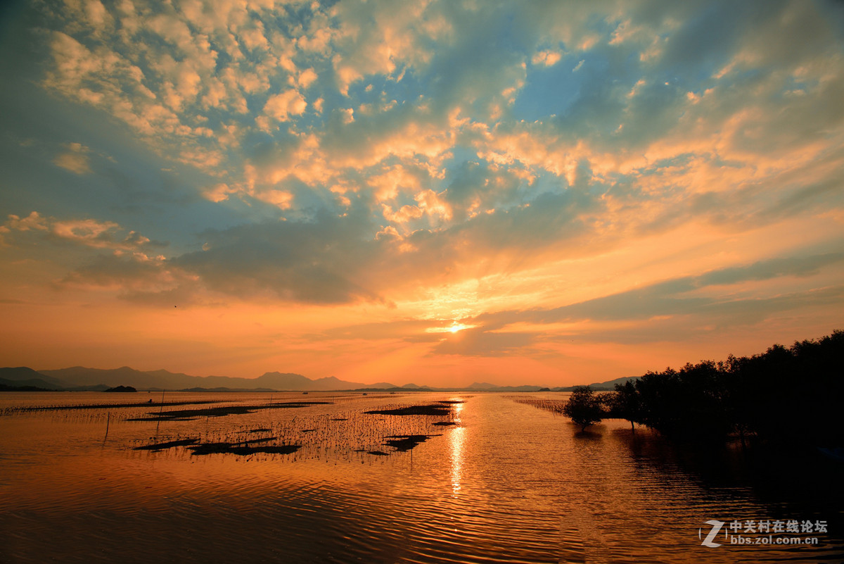 日出、日落、礁石、海浪、美女