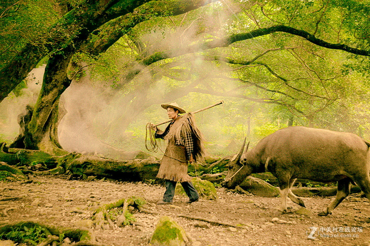 霞浦风光录杨家溪放牛图