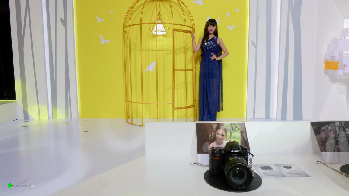 #2015精彩秀尼康#2015精彩秀尼康活动花絮