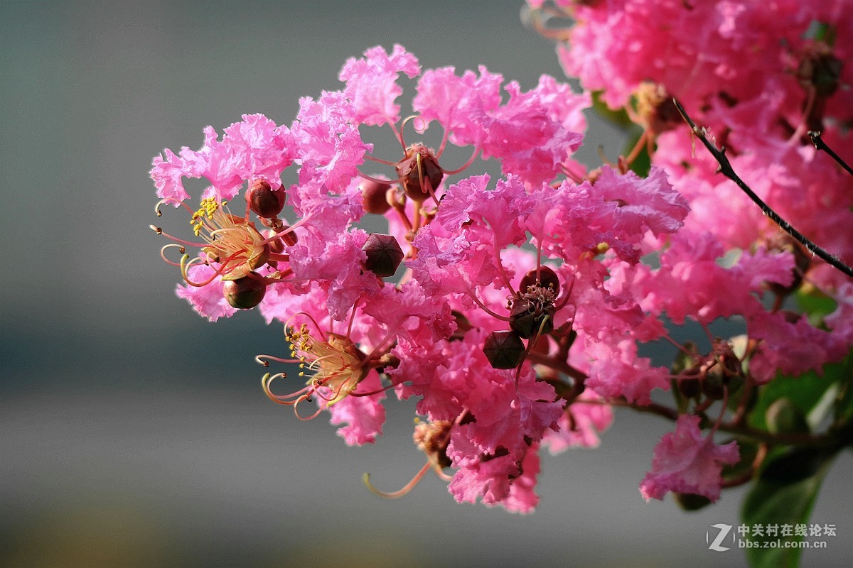 新机试镜—花影试拍