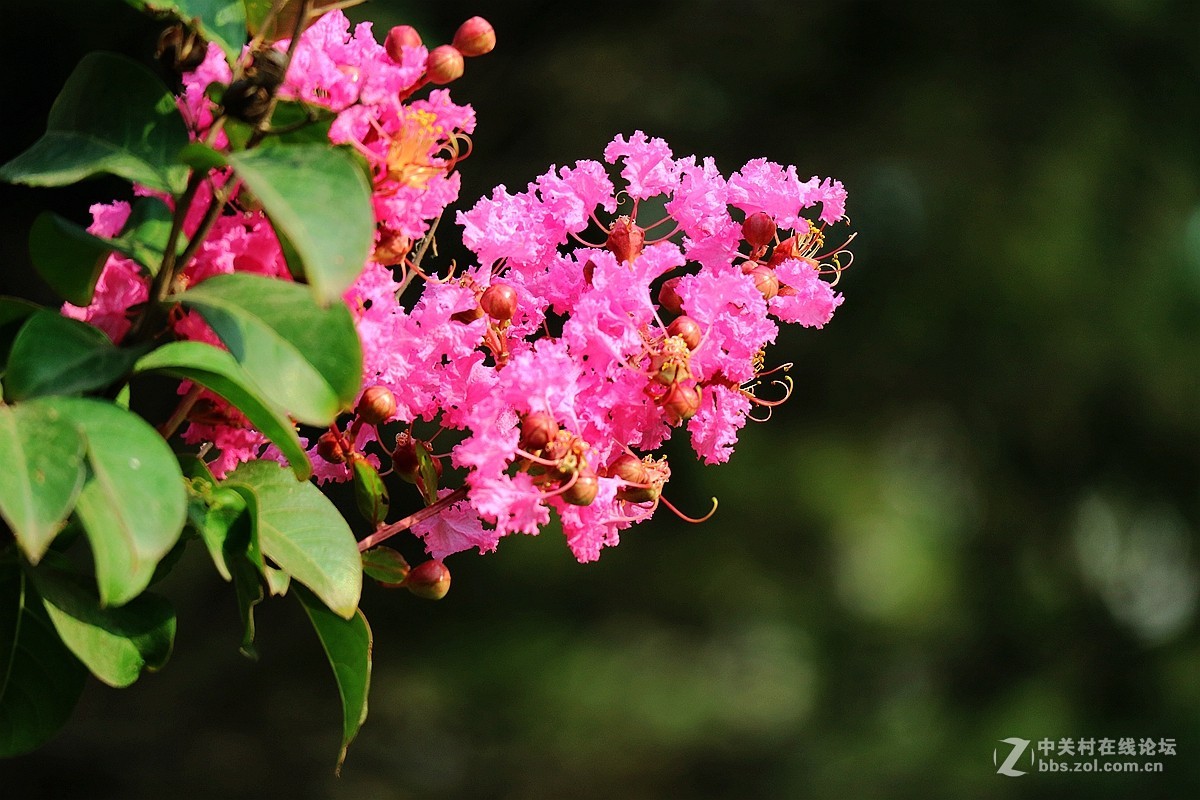 新机试镜—花影试拍