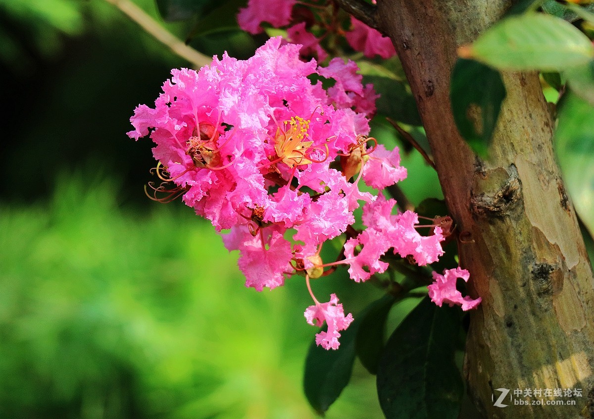 新机试镜—花影试拍
