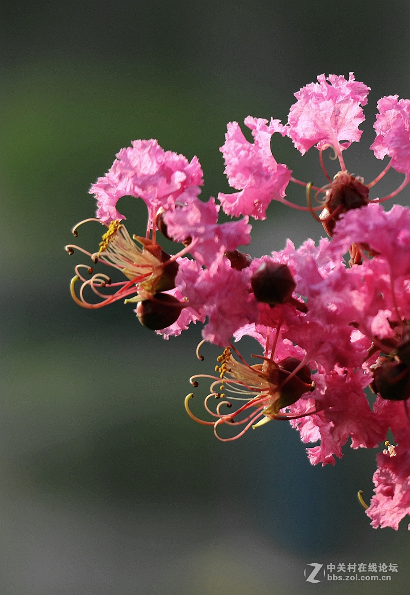 新机试镜—花影试拍