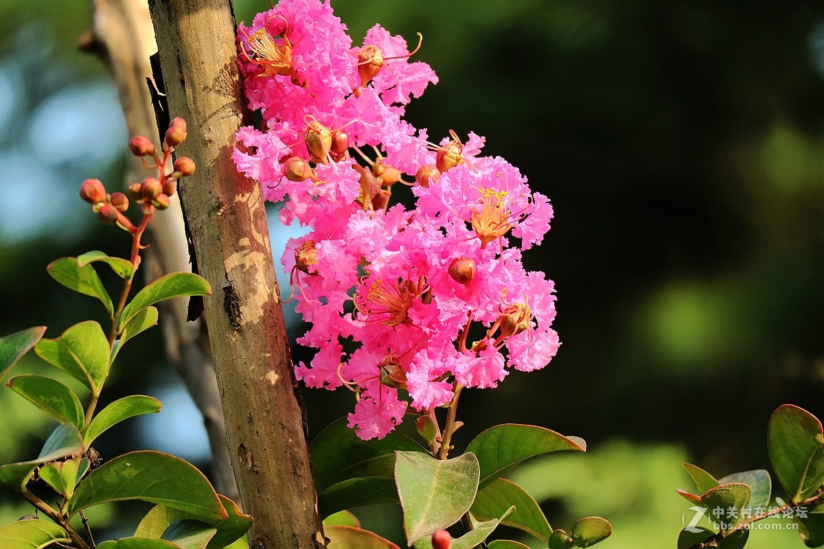新机试镜—花影试拍