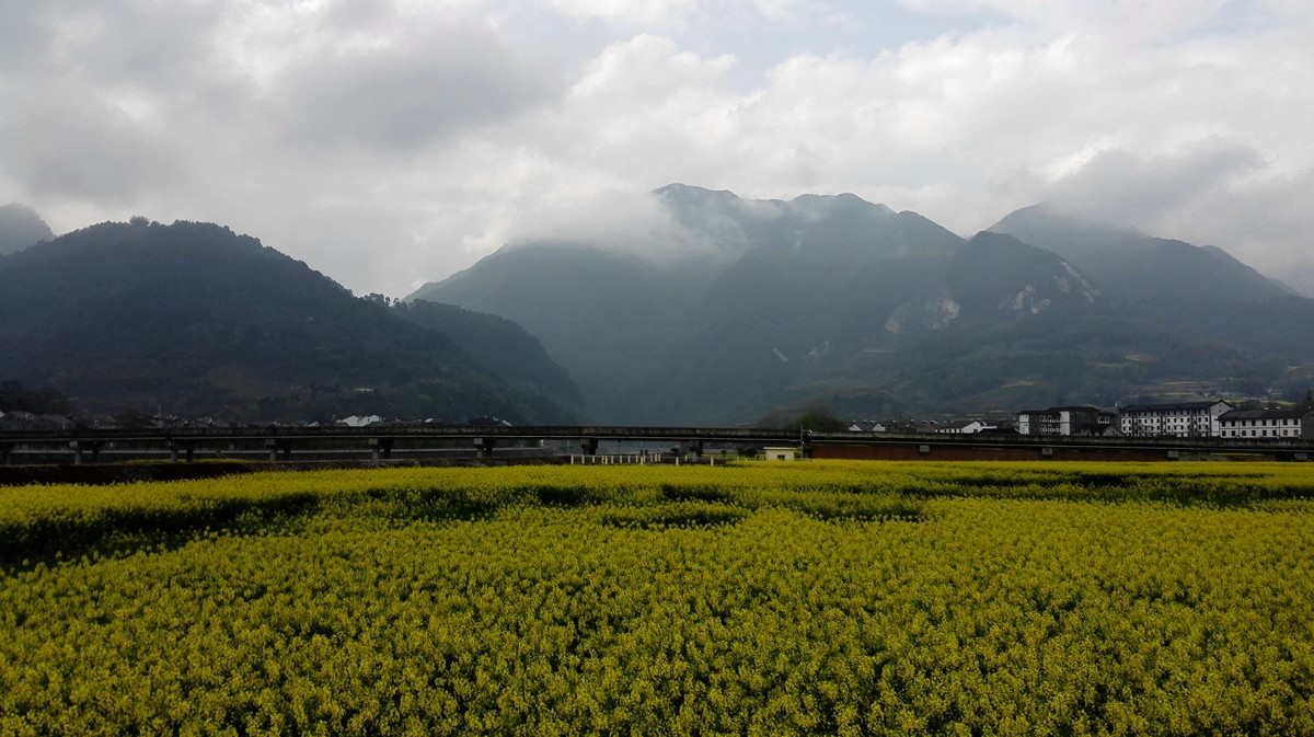 漢中西鄉堰口鎮小景