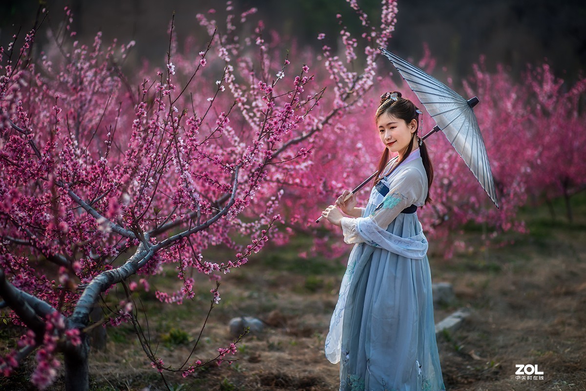 人面桃花相映红 【学拍环境人像】-中关村在线摄影论坛