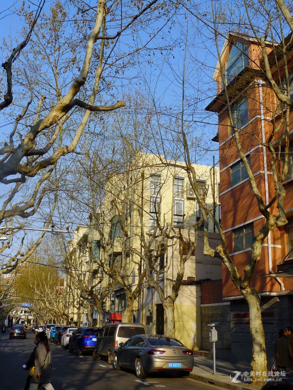 满满当当的春天街景