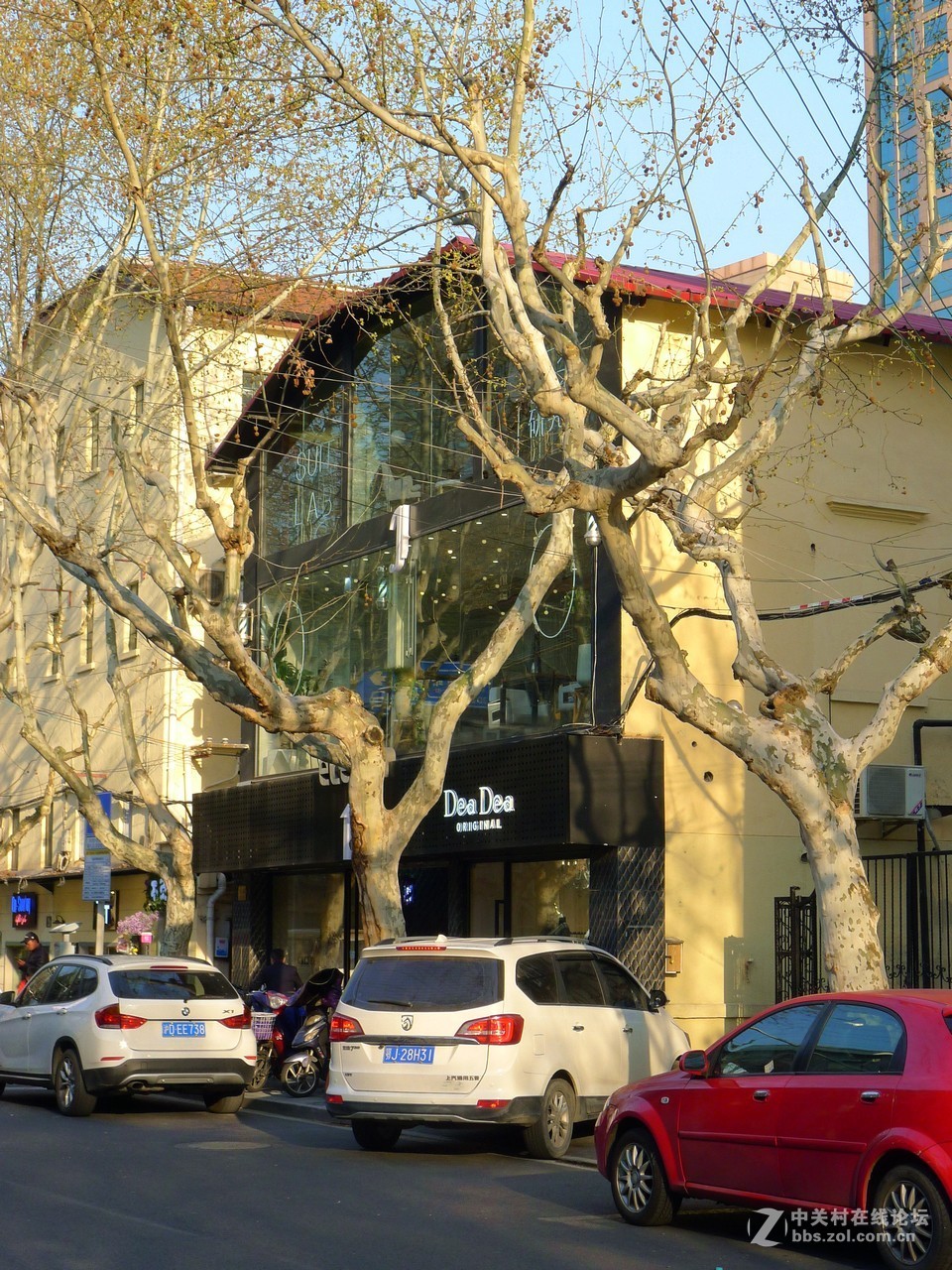 满满当当的春天街景