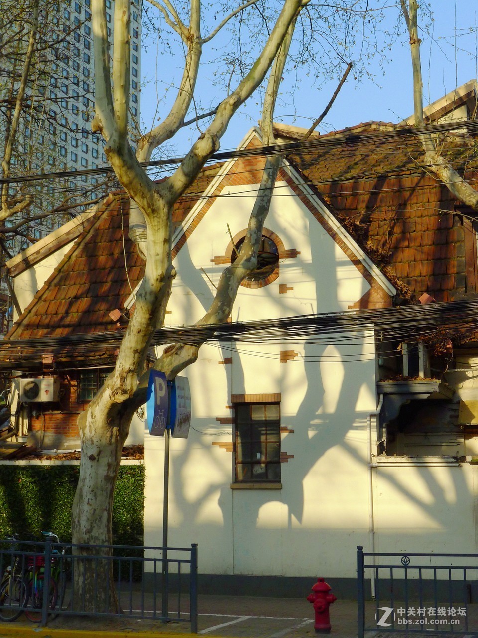 满满当当的春天街景