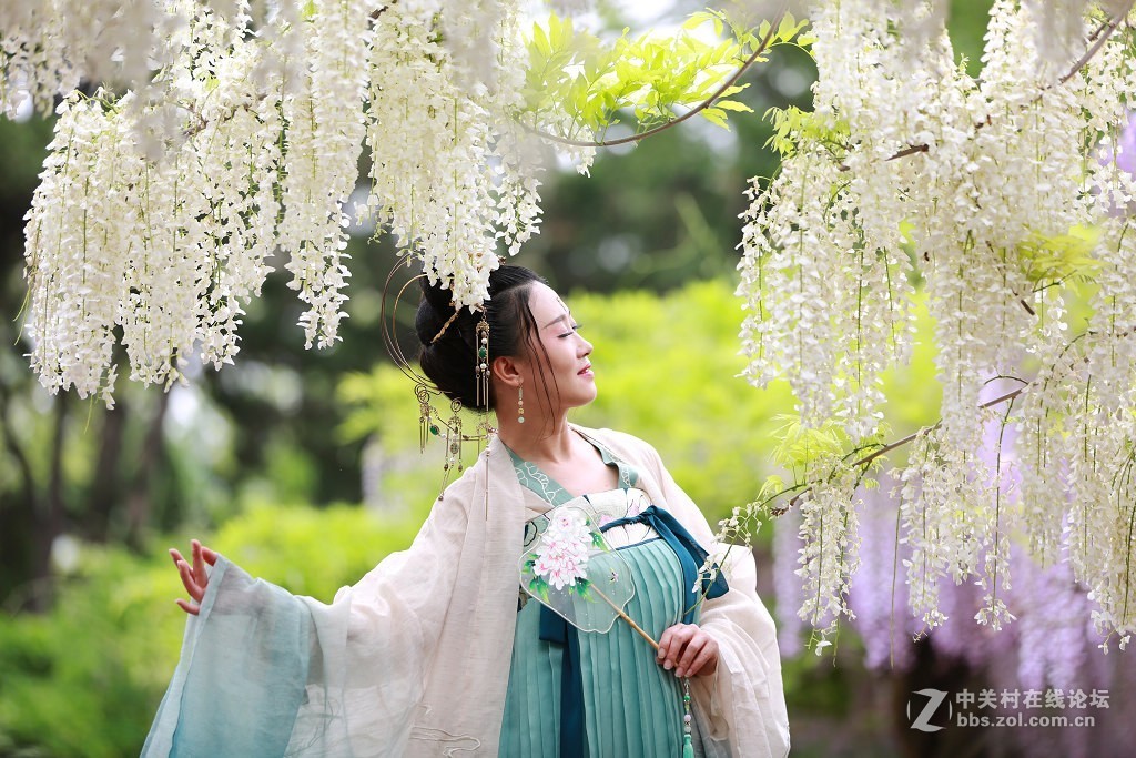 紫藤花下的汉服美女