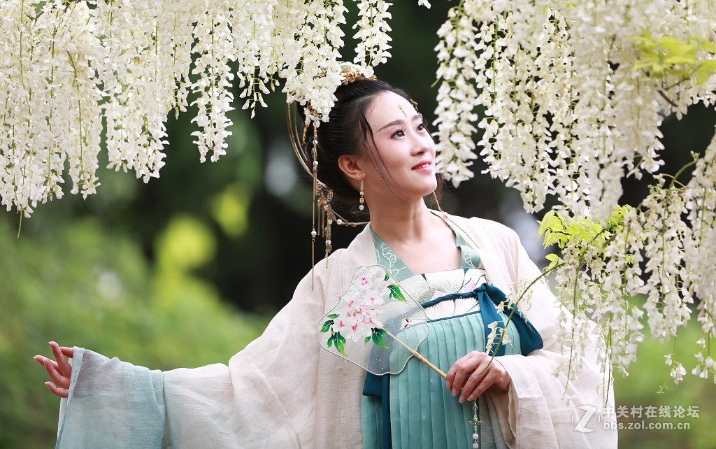 紫藤花下的汉服美女