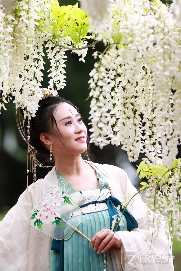 紫藤花下的汉服美女