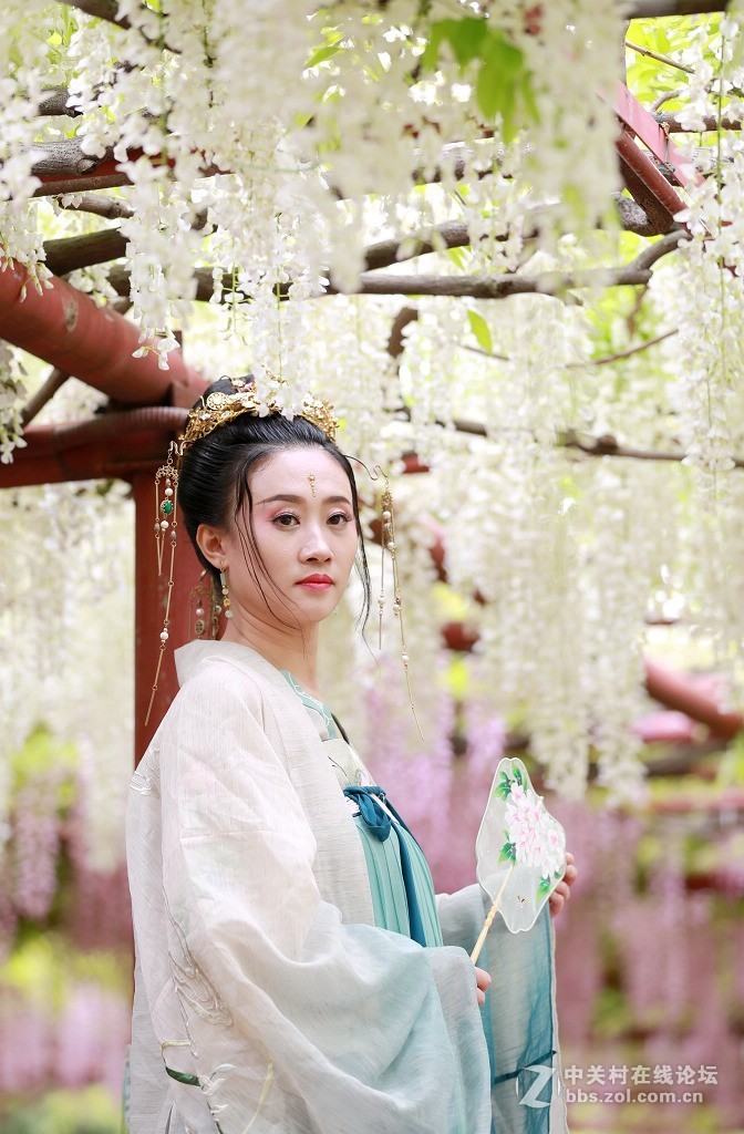 紫藤花下的汉服美女