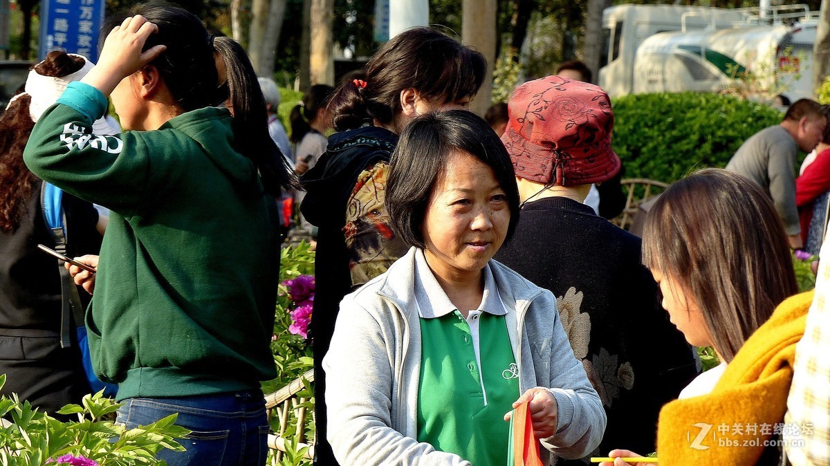 2019【花开富贵】