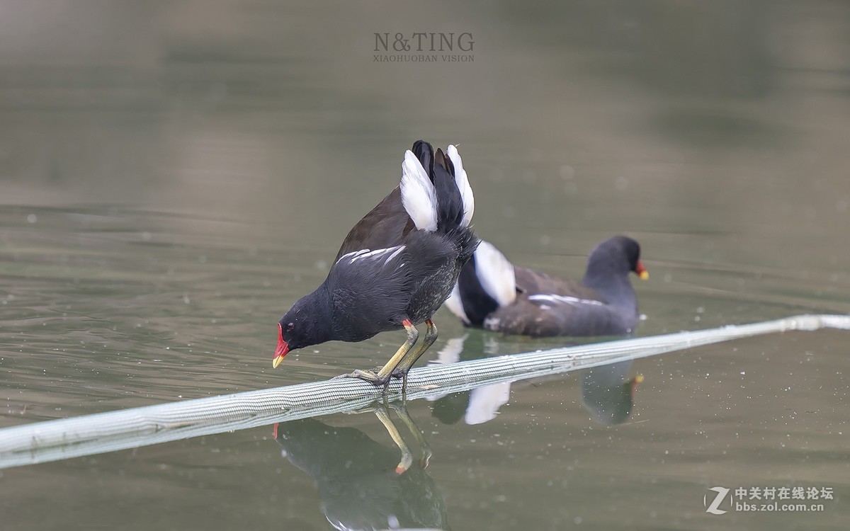 索尼A9+428GM黄金搭档