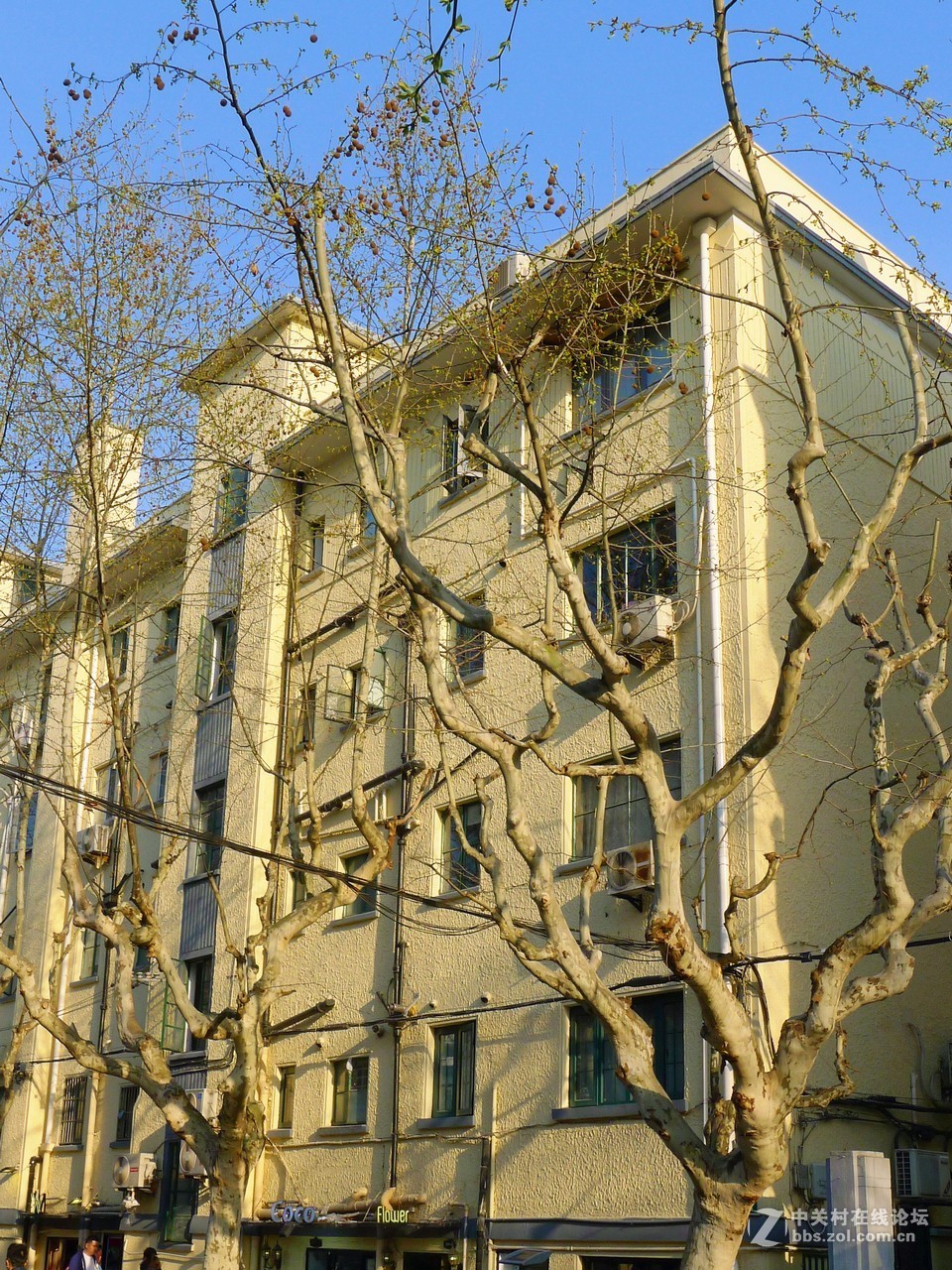 满满当当的春天街景