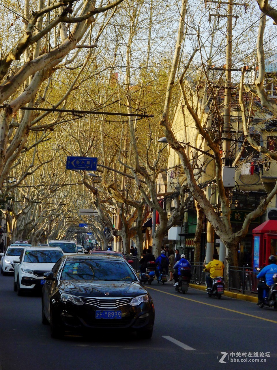 满满当当的春天街景