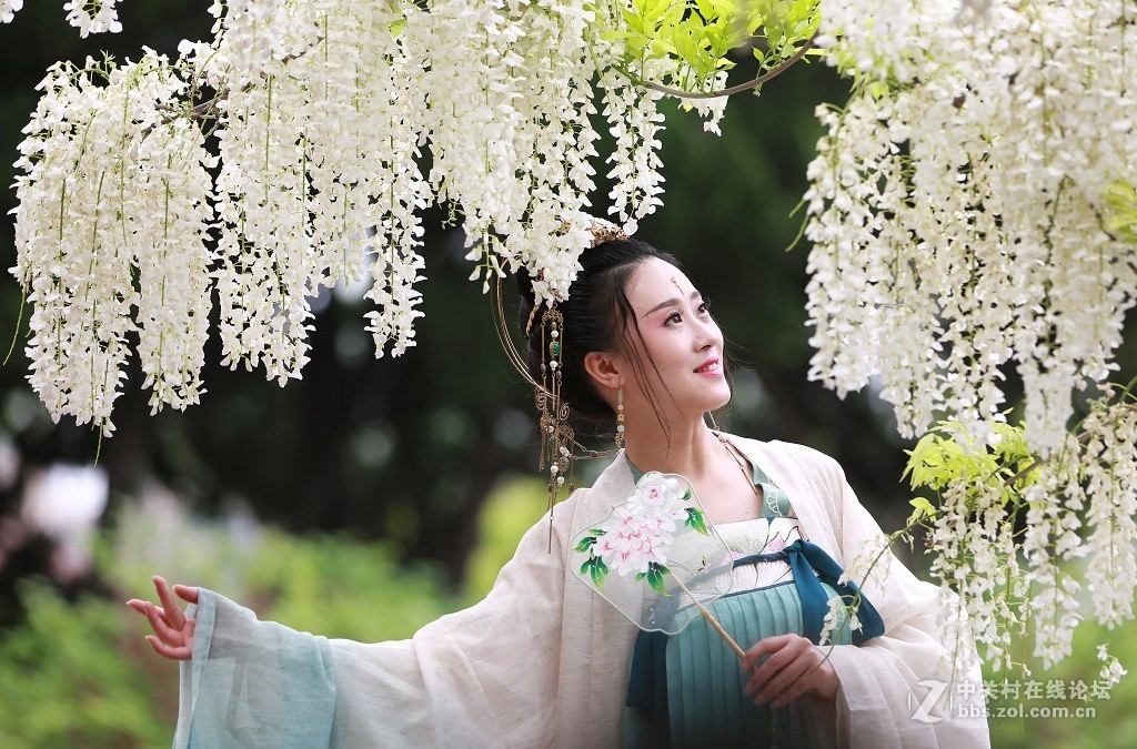 紫藤花下的汉服美女