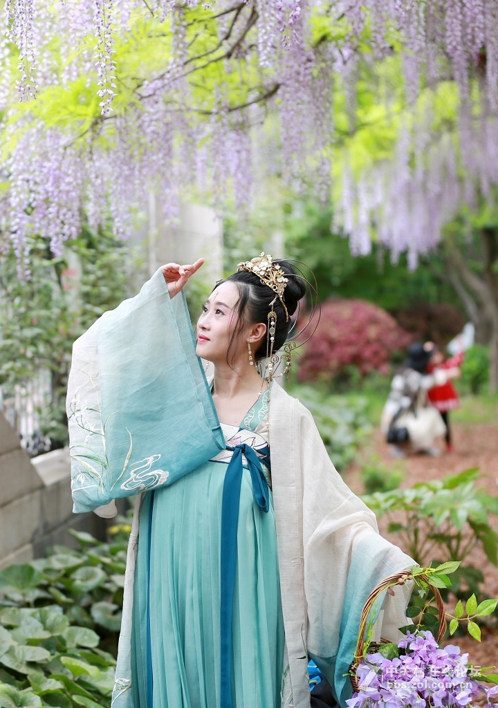 紫藤花下的汉服美女