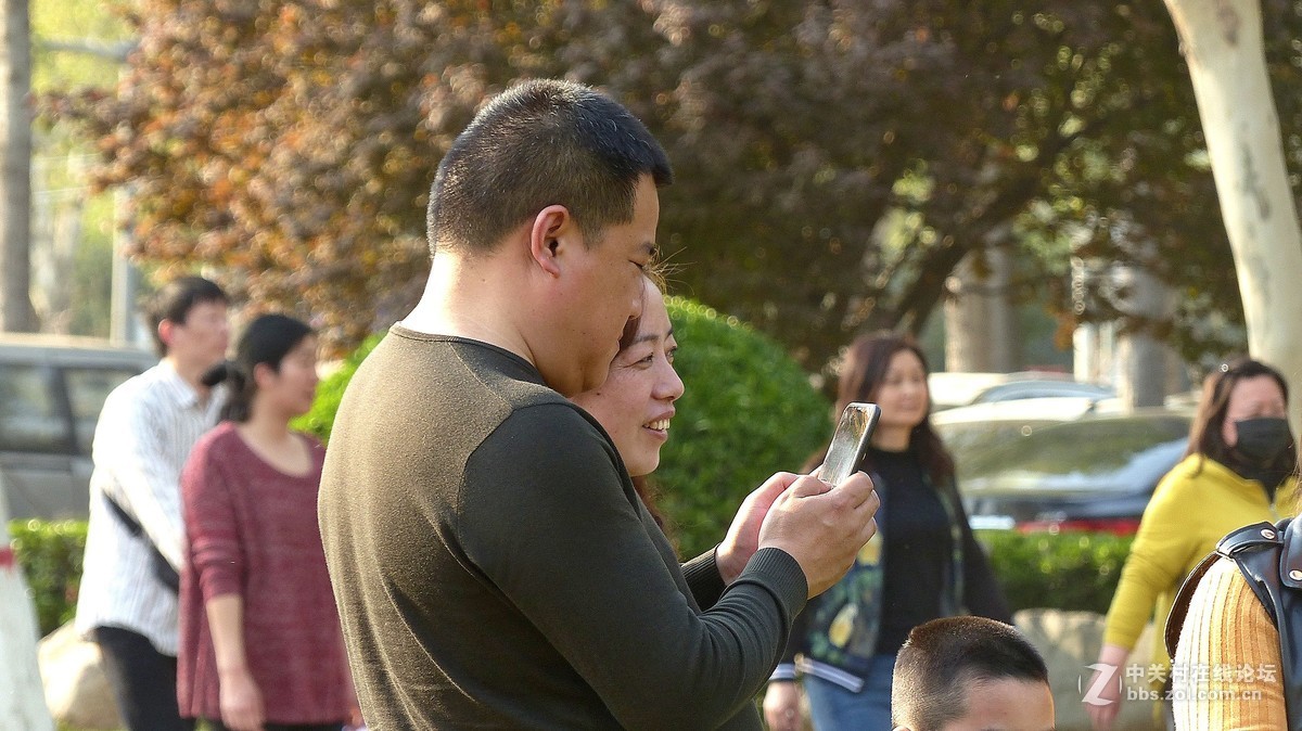 2019【花开富贵】