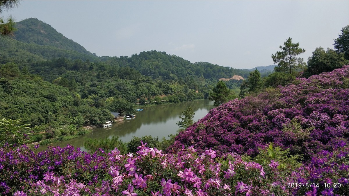花都雁鹰湖