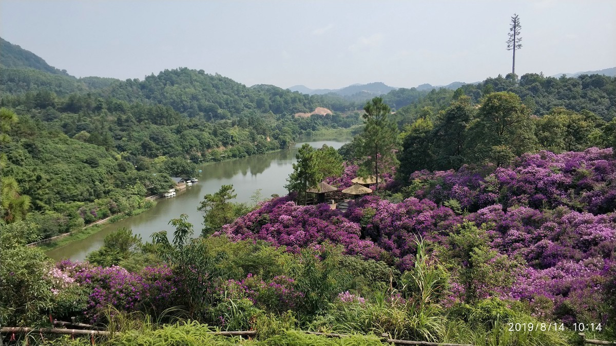 花都雁鹰湖