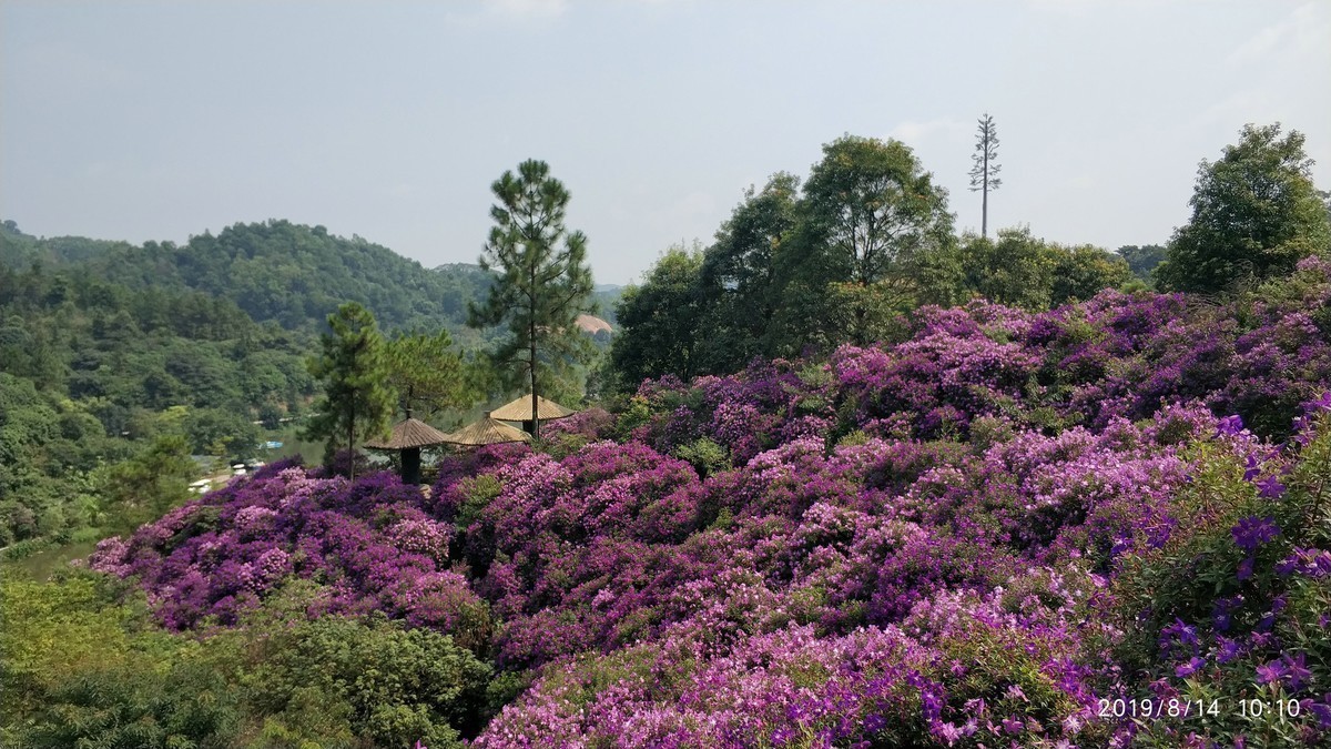 花都雁鹰湖