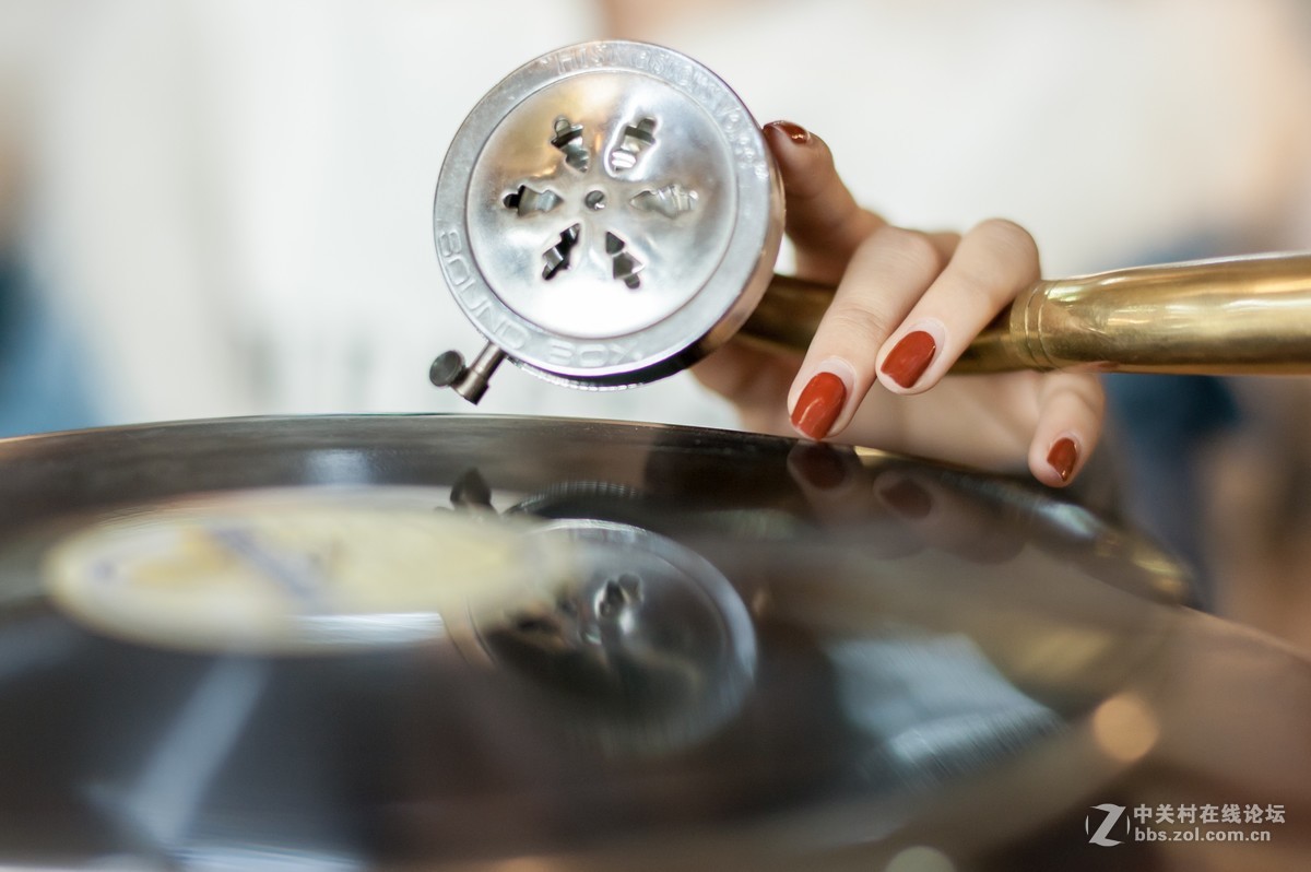 #抓住阳光来作画#  美丽双生花