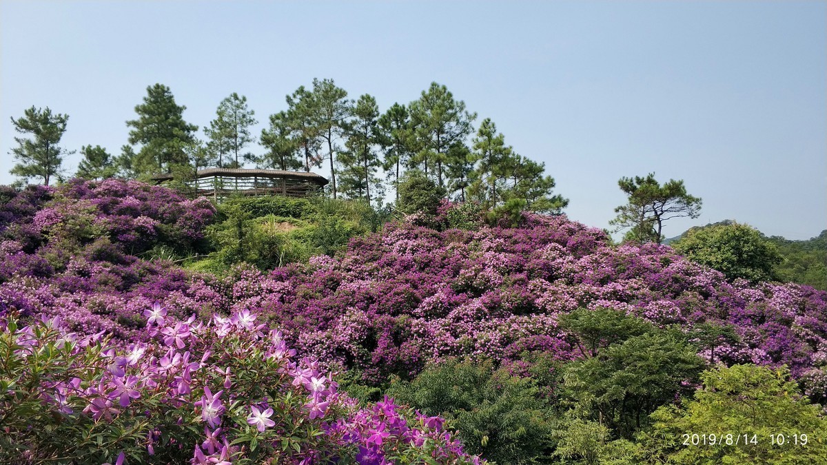 花都雁鹰湖