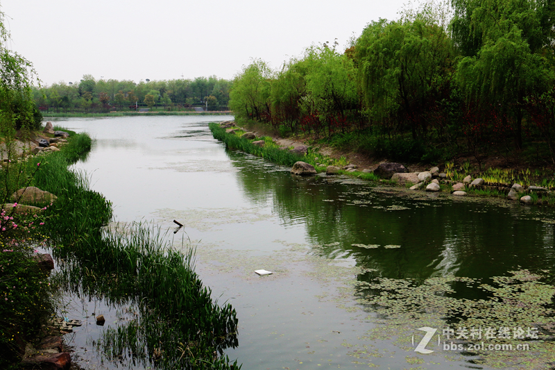 無錫金匱公園小景