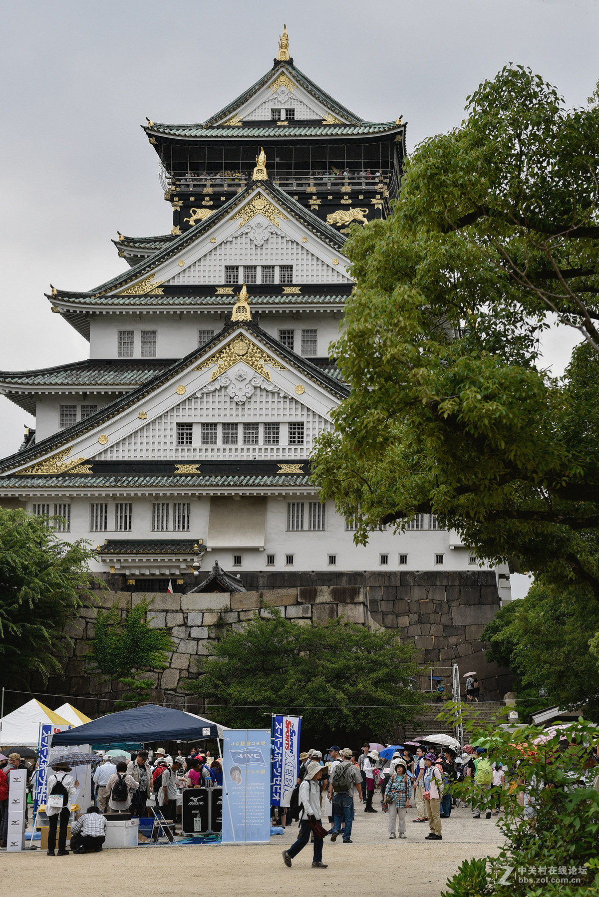 日本旅游所见风景