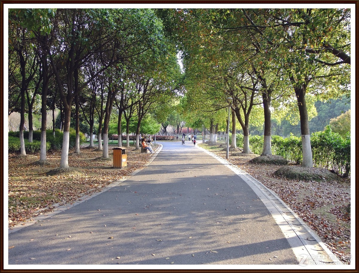 随拍8--公园小景