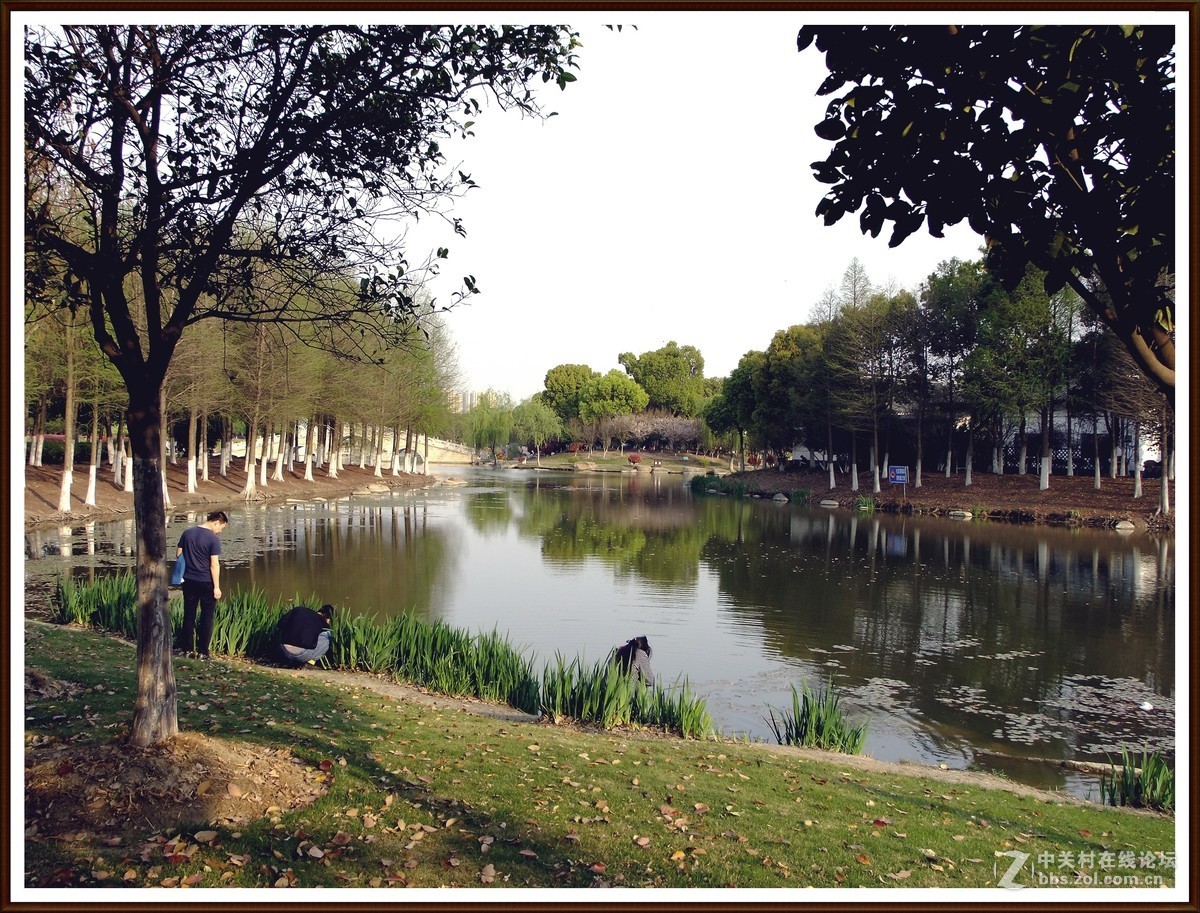 随拍8--公园小景