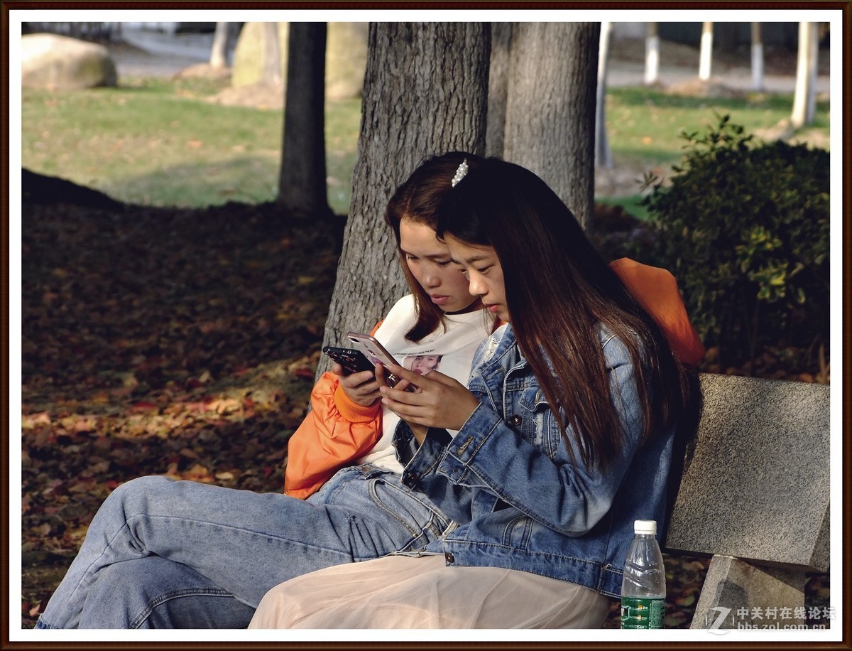 随拍8--公园小景