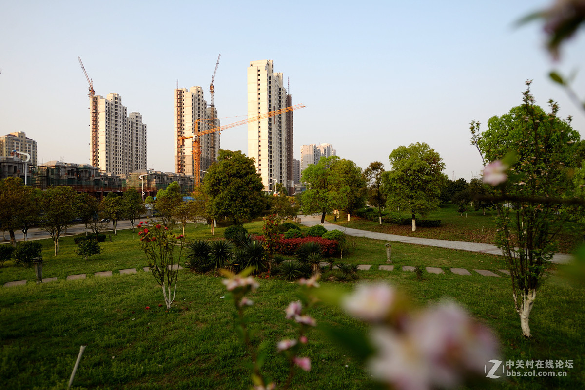 路边景色小片