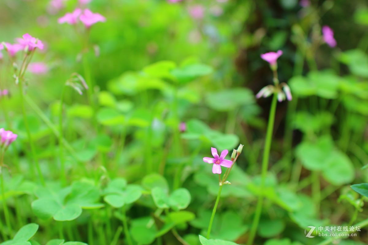 EOS M3随拍。。。内附美女。。。。。。