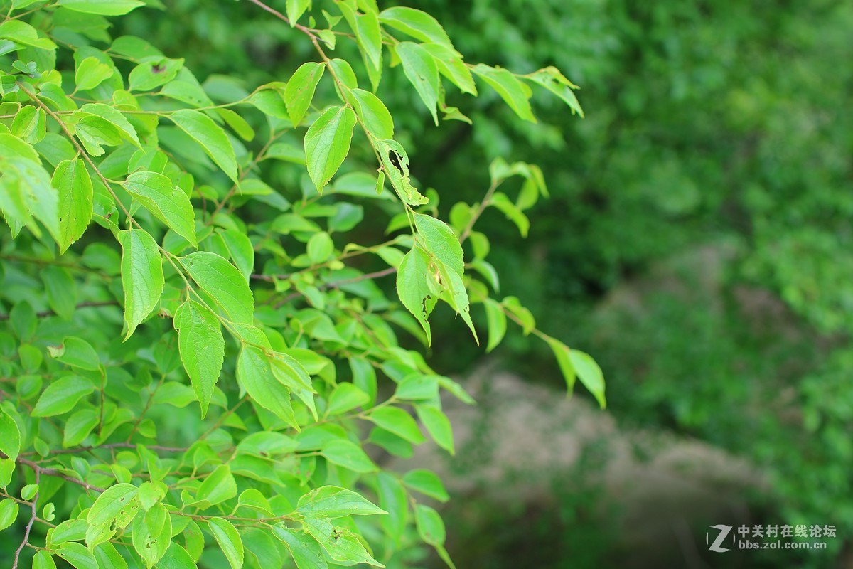 EOS M3随拍。。。内附美女。。。。。。