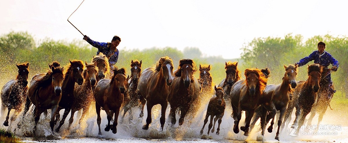 乌兰布统…奔驰的骏马