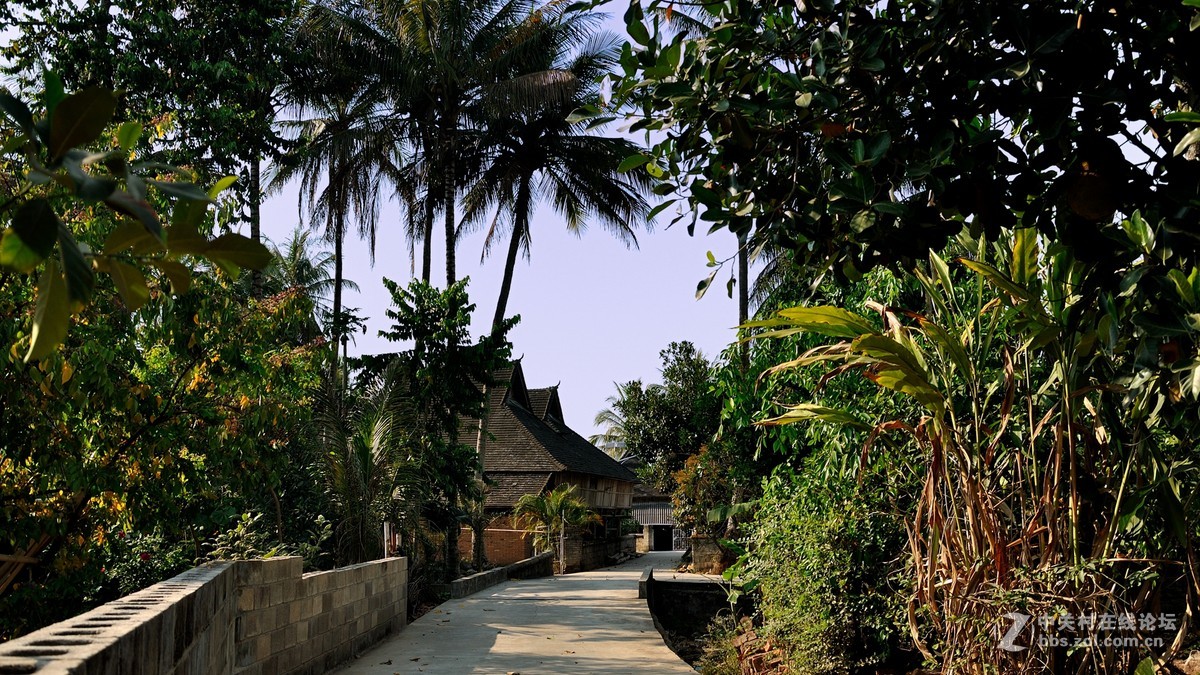 西双版纳——傣族园风情