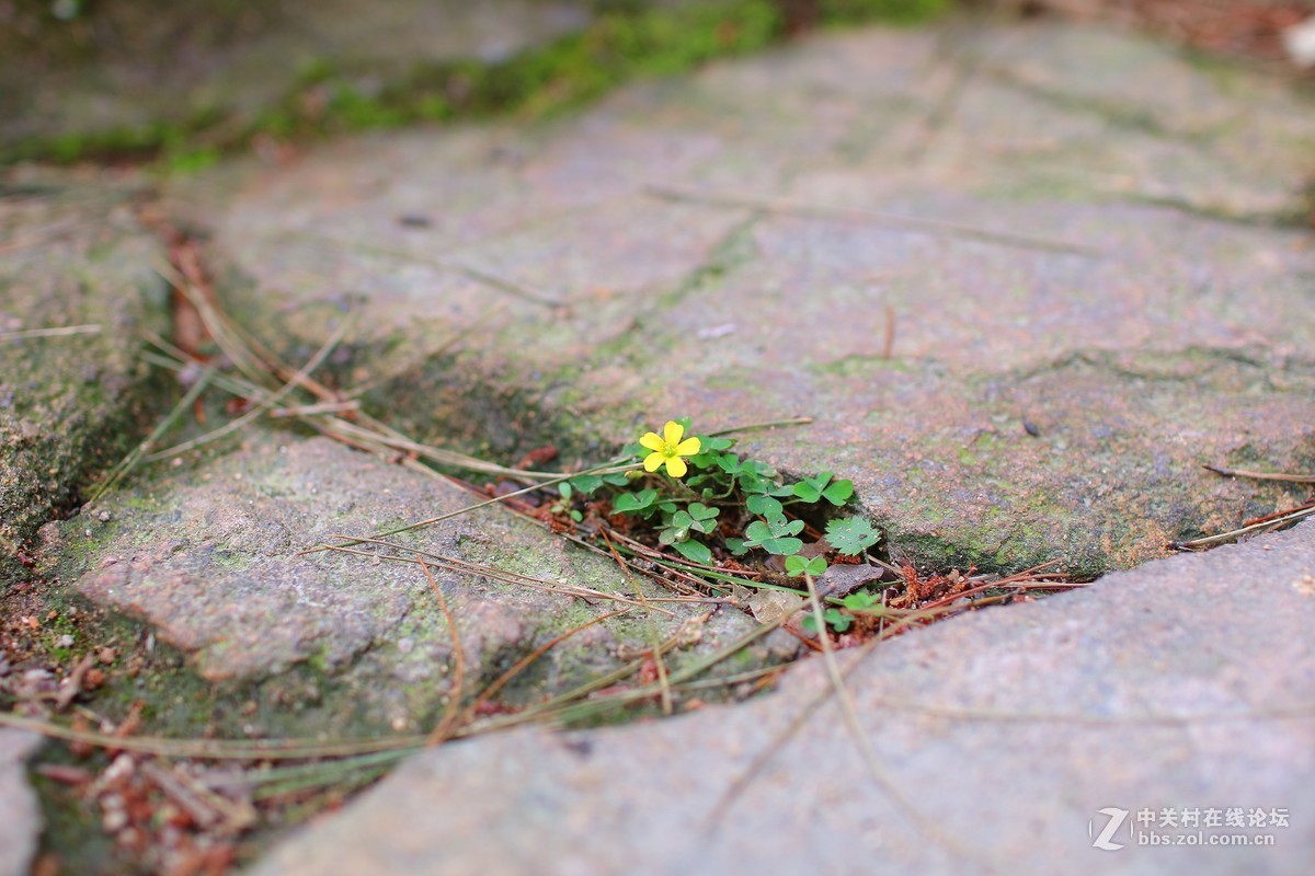 EOS M3随拍。。。内附美女。。。。。。