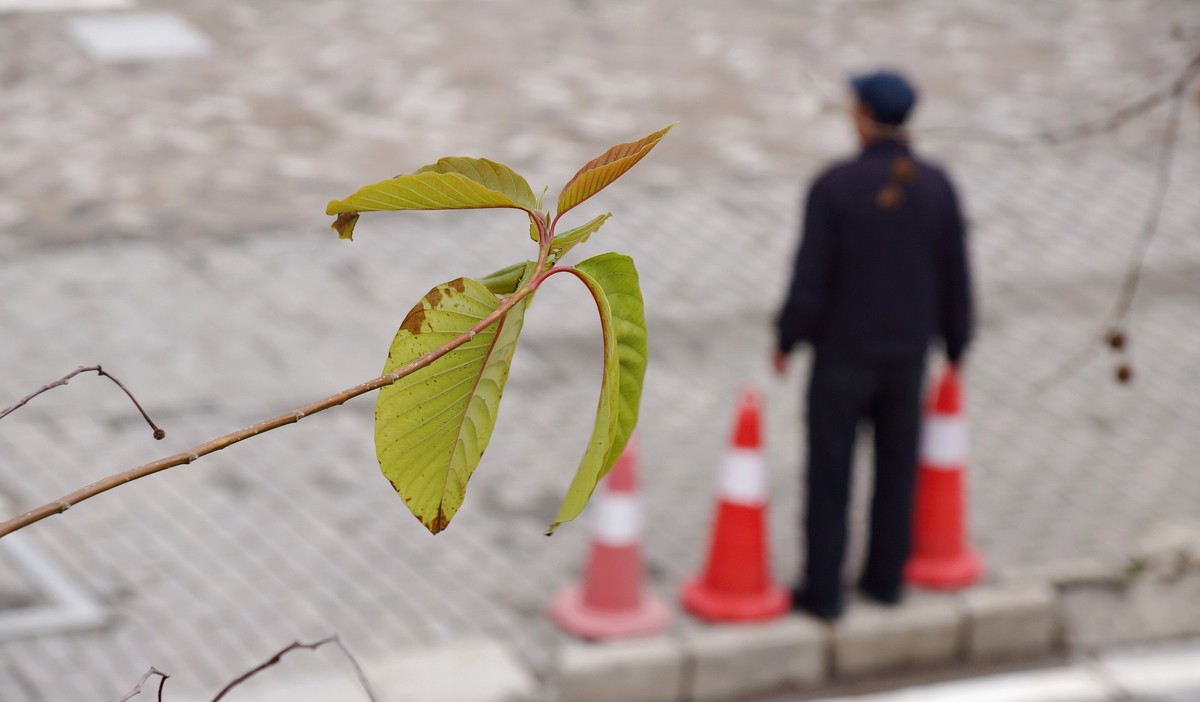 〖 阴 天 没 远 走 老 街 扫一扫 〗